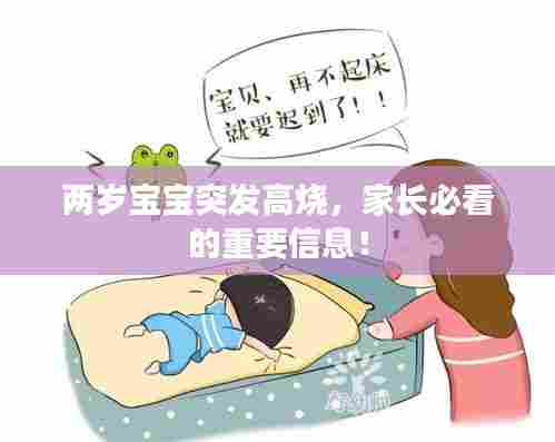 两岁宝宝突发高烧，家长必看的重要信息！