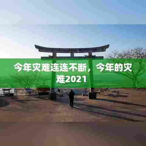 天荒地老 第6页