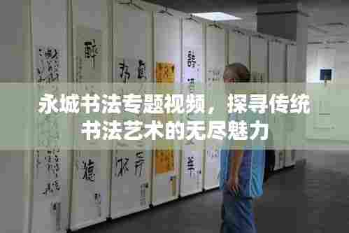 永城书法专题视频，探寻传统书法艺术的无尽魅力