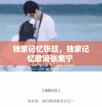 独家记忆张廷，独家记忆歌词张紫宁 