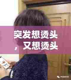 突发想烫头,又想烫头发又想染头发怎么办