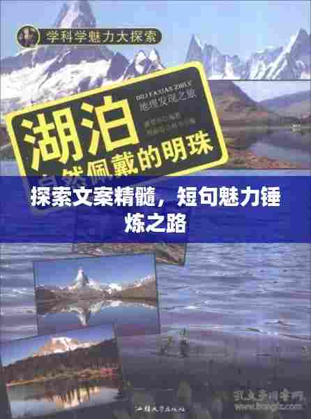 不知不觉 第6页