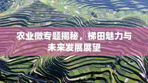 农业微专题揭秘，梯田魅力与未来发展展望