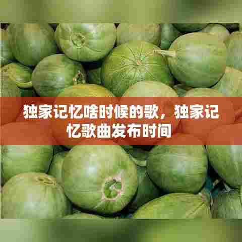 独家记忆啥时候的歌,独家记忆歌曲发布时间