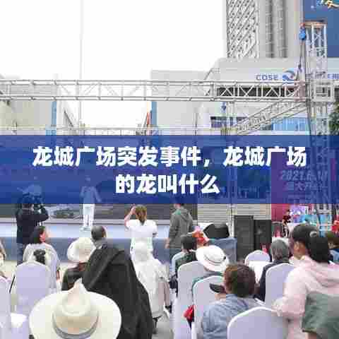 龙城广场突发事件,龙城广场的龙叫什么