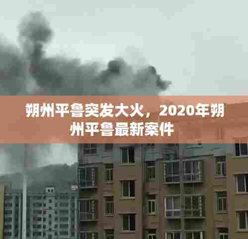 朔州平鲁突发大火，2020年朔州平鲁最新案件 