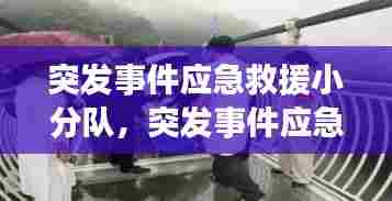 突发事件应急救援小分队,突发事件应急小组成员