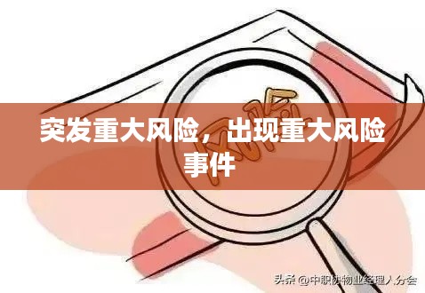 突发重大风险,出现重大风险事件