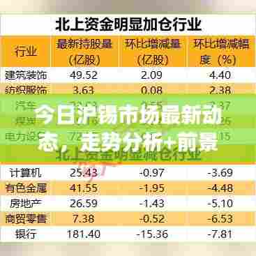 今日沪锡市场最新动态，走势分析+前景展望