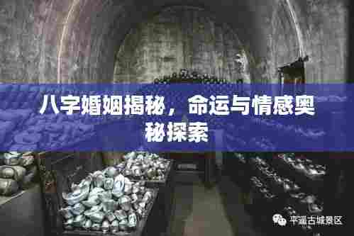 八字婚姻揭秘,命运与情感奥秘探索