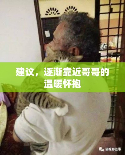 建议，逐渐靠近哥哥的温暖怀抱