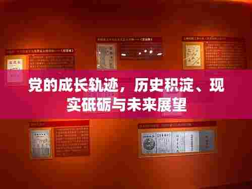 党的成长轨迹,历史积淀、现实砥砺与未来展望