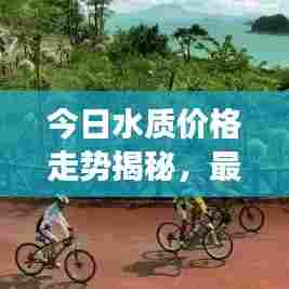 今日水质价格走势揭秘,最新消息及市场影响因素分析