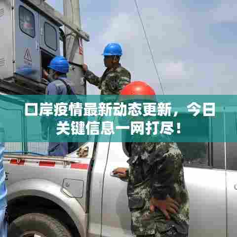 口岸疫情最新动态更新,今日关键信息一网打尽!