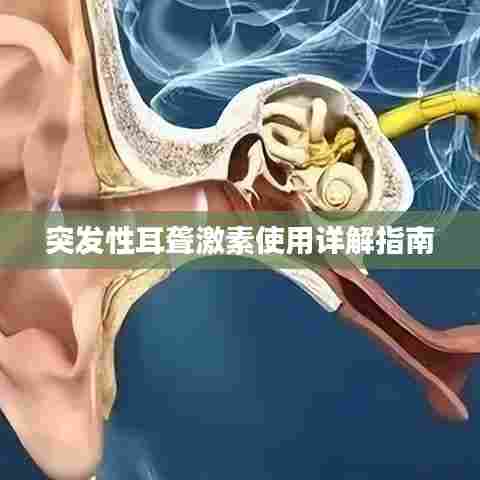 驾轻就熟 第6页