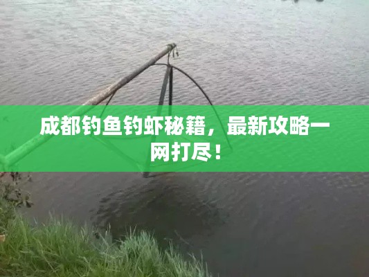 成都钓鱼钓虾秘籍,最新攻略一网打尽!