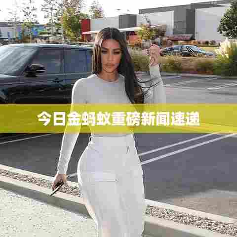 今日金蚂蚁重磅新闻速递