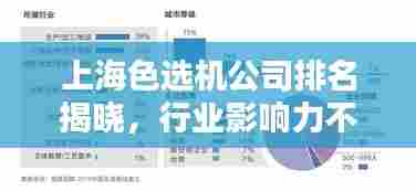 上海色选机公司排名揭晓，行业影响力不容小觑
