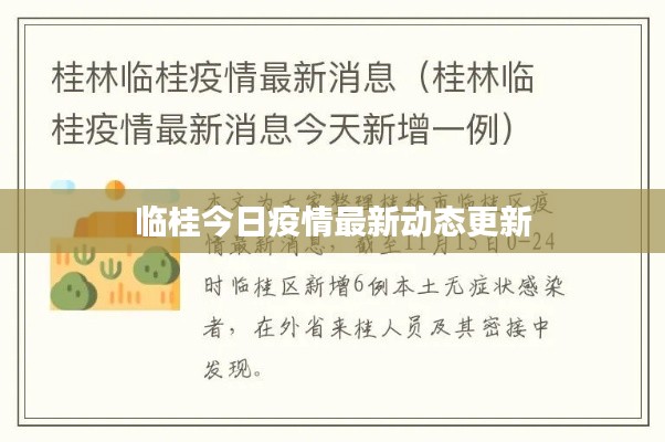 临桂今日疫情最新动态更新