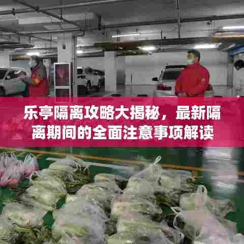 乐亭隔离攻略大揭秘，最新隔离期间的全面注意事项解读
