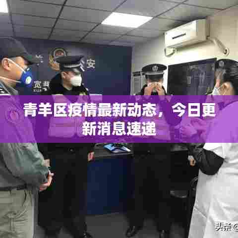 青羊区疫情最新动态，今日更新消息速递