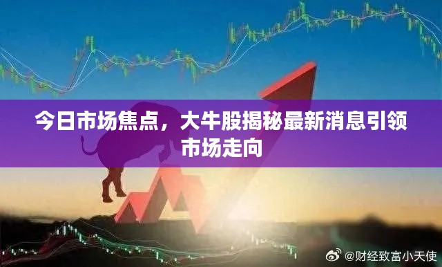 今日市场焦点,大牛股揭秘最新消息引领市场走向