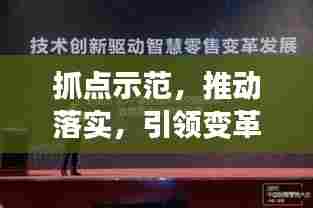 抓点示范，推动落实，引领变革的关键讲话