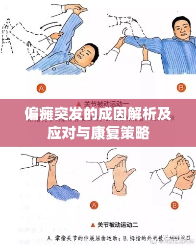 偏瘫突发的成因解析及应对与康复策略