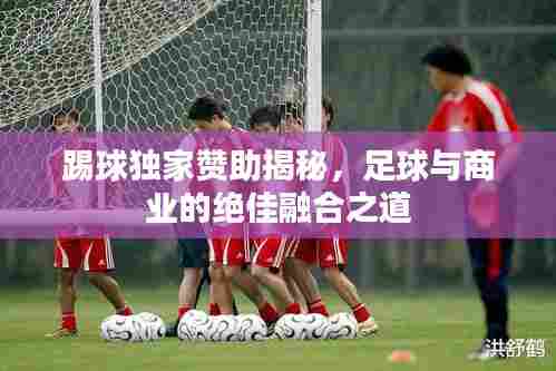 踢球独家赞助揭秘，足球与商业的绝佳融合之道
