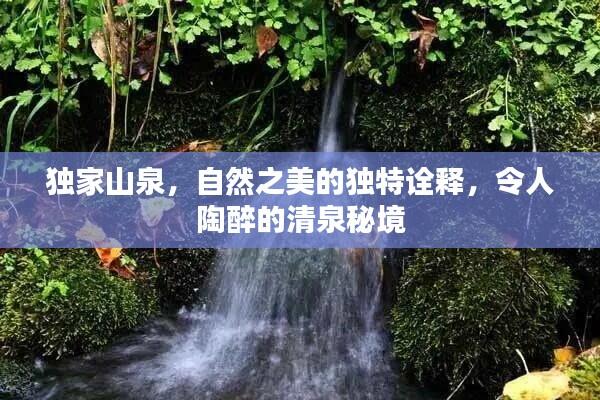 独家山泉,自然之美的独特诠释,令人陶醉的清泉秘境
