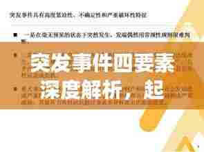 突发事件四要素深度解析,起因、发展、应对与启示