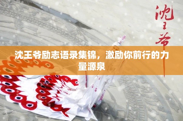 沈王爷励志语录集锦，激励你前行的力量源泉