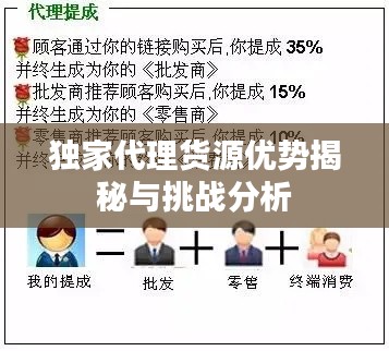 独家代理货源优势揭秘与挑战分析
