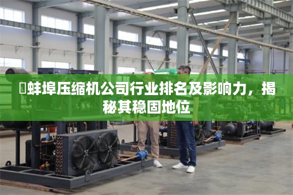 蚌埠压缩机公司行业排名及影响力,揭秘其稳固地位
