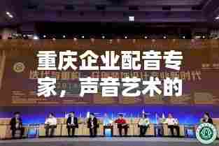 重庆企业配音专家,声音艺术的极致演绎者