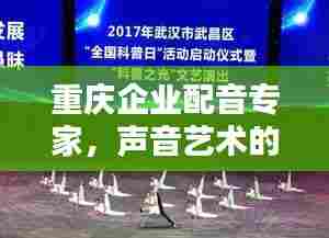 重庆企业配音专家,声音艺术的极致演绎者