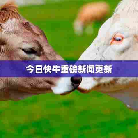 今日快牛重磅新闻更新