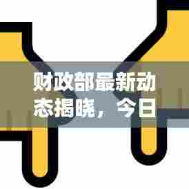 财政部最新动态揭晓,今日消息一览