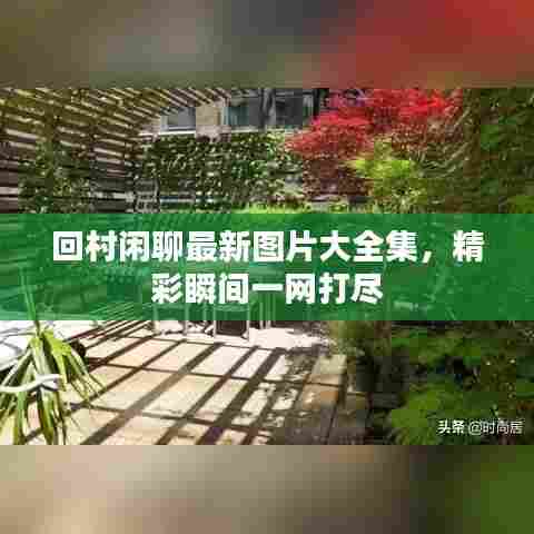 回村闲聊最新图片大全集，精彩瞬间一网打尽