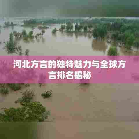 河北方言的独特魅力与全球方言排名揭秘