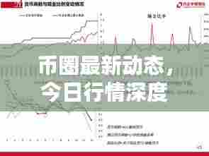 币圈最新动态，今日行情深度解析
