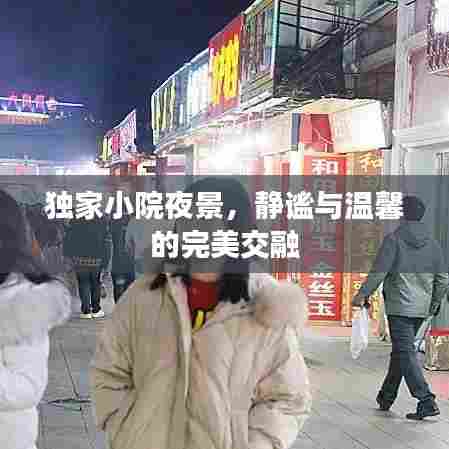 独家小院夜景,静谧与温馨的完美交融