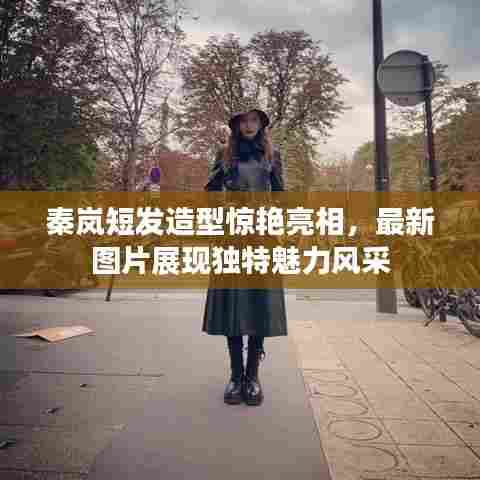 秦岚短发造型惊艳亮相,最新图片展现独特魅力风采