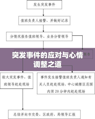 突发事件的应对与心情调整之道