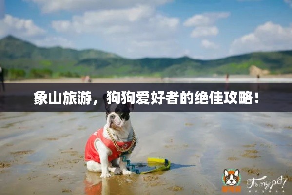 冰肌玉骨 第6页