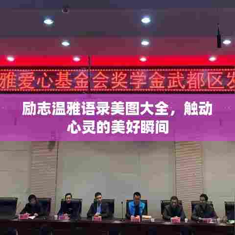 励志温雅语录美图大全,触动心灵的美好瞬间