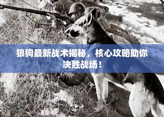 狼狗最新战术揭秘,核心攻略助你决胜战场!