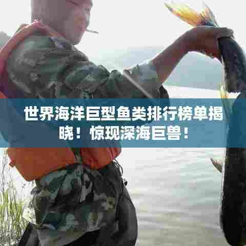 世界海洋巨型鱼类排行榜单揭晓！惊现深海巨兽！