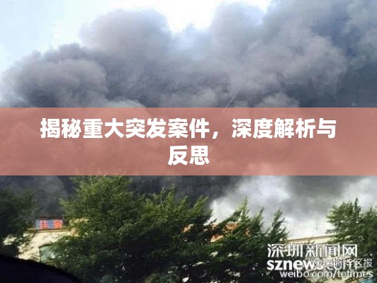 揭秘重大突发案件，深度解析与反思
