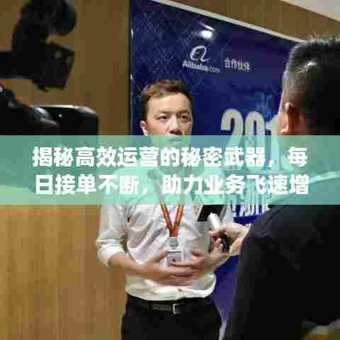 揭秘高效运营的秘密武器,每日接单不断,助力业务飞速增长!